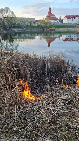 Ігри з вогнем на озері “Кірпічка”: дитяча недбалість ледь не призвела до трагедії