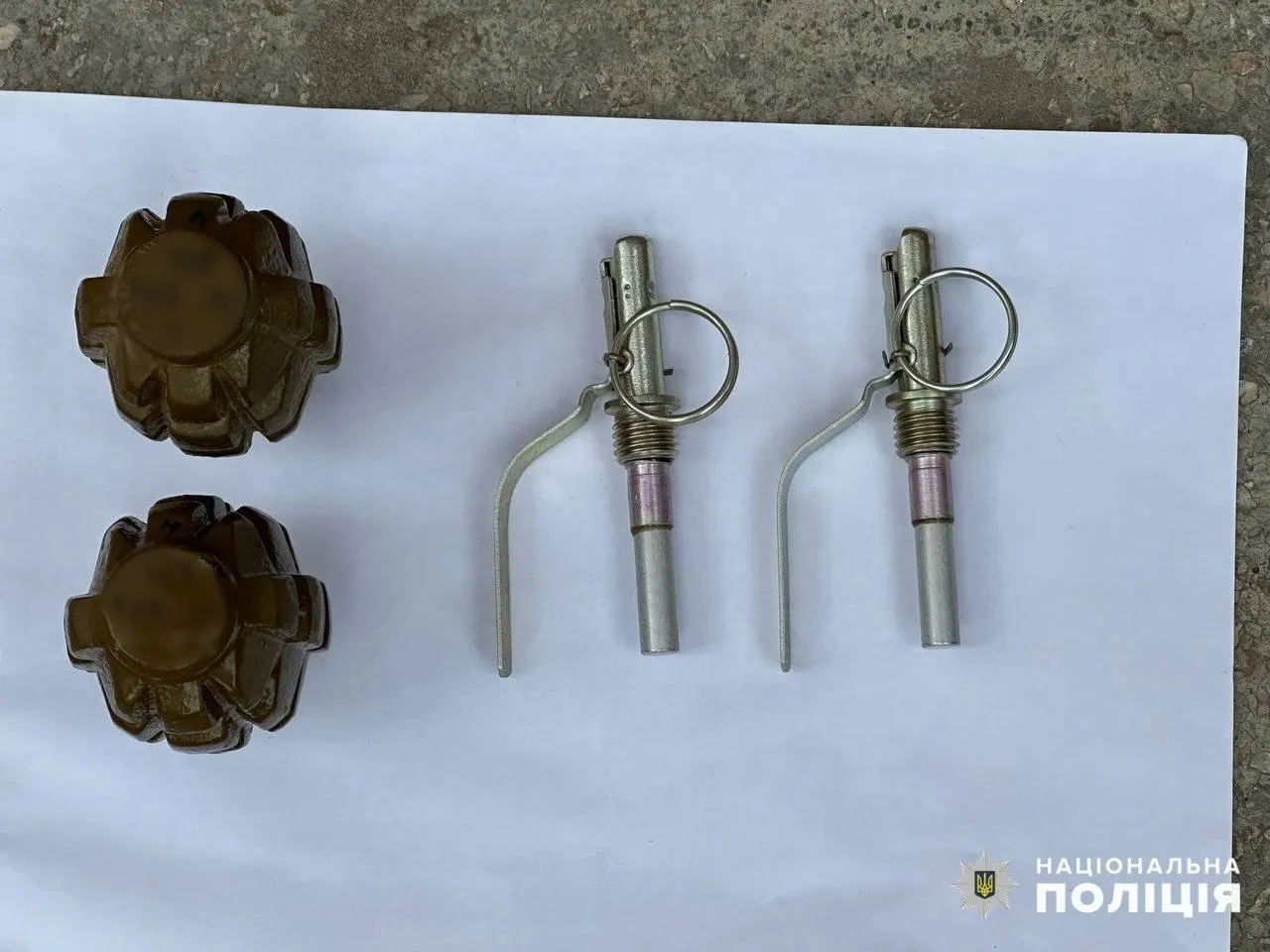 В Ужгороді поліція вилучила у сімейного кривдника бойові гранати: зловмисника затримано