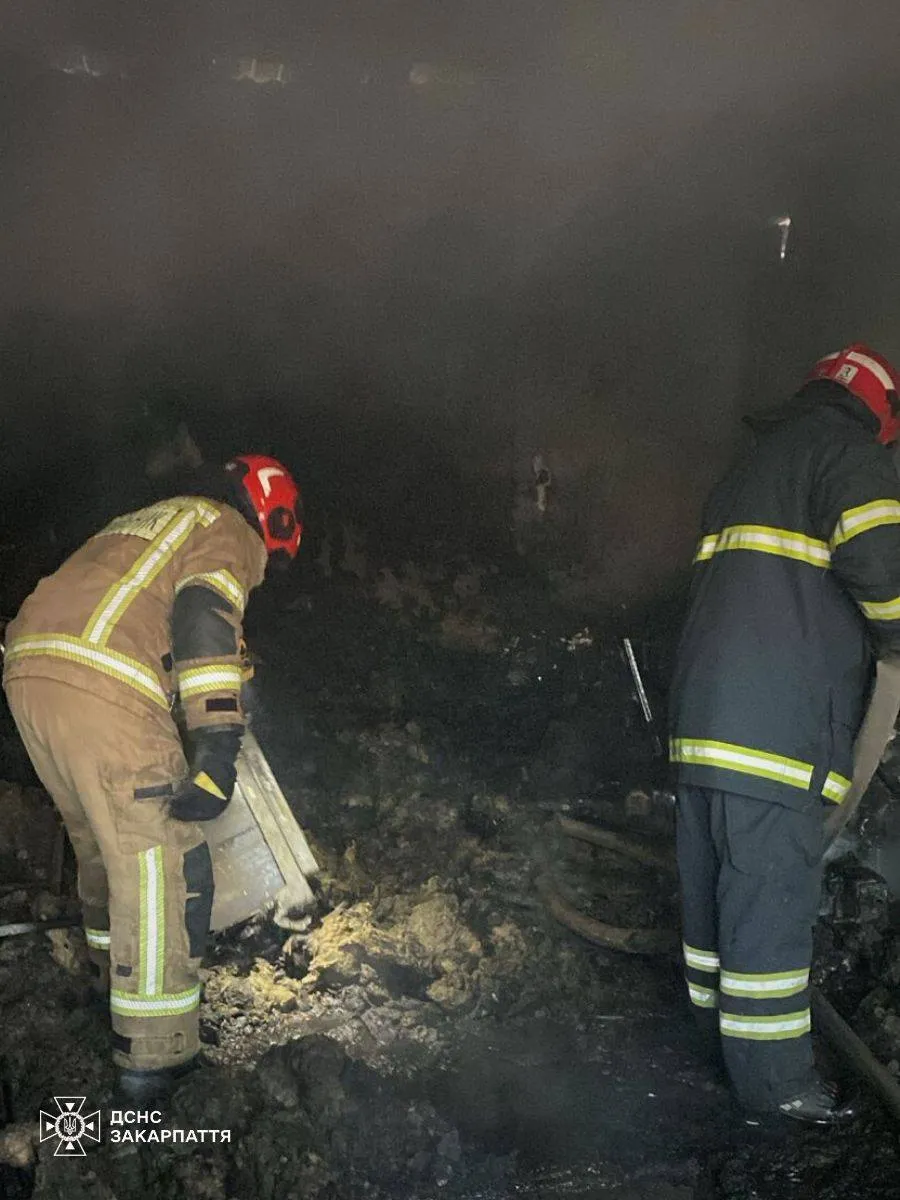 Трагедія в Ужгороді: чоловік загинув під час пожежі в гаражі