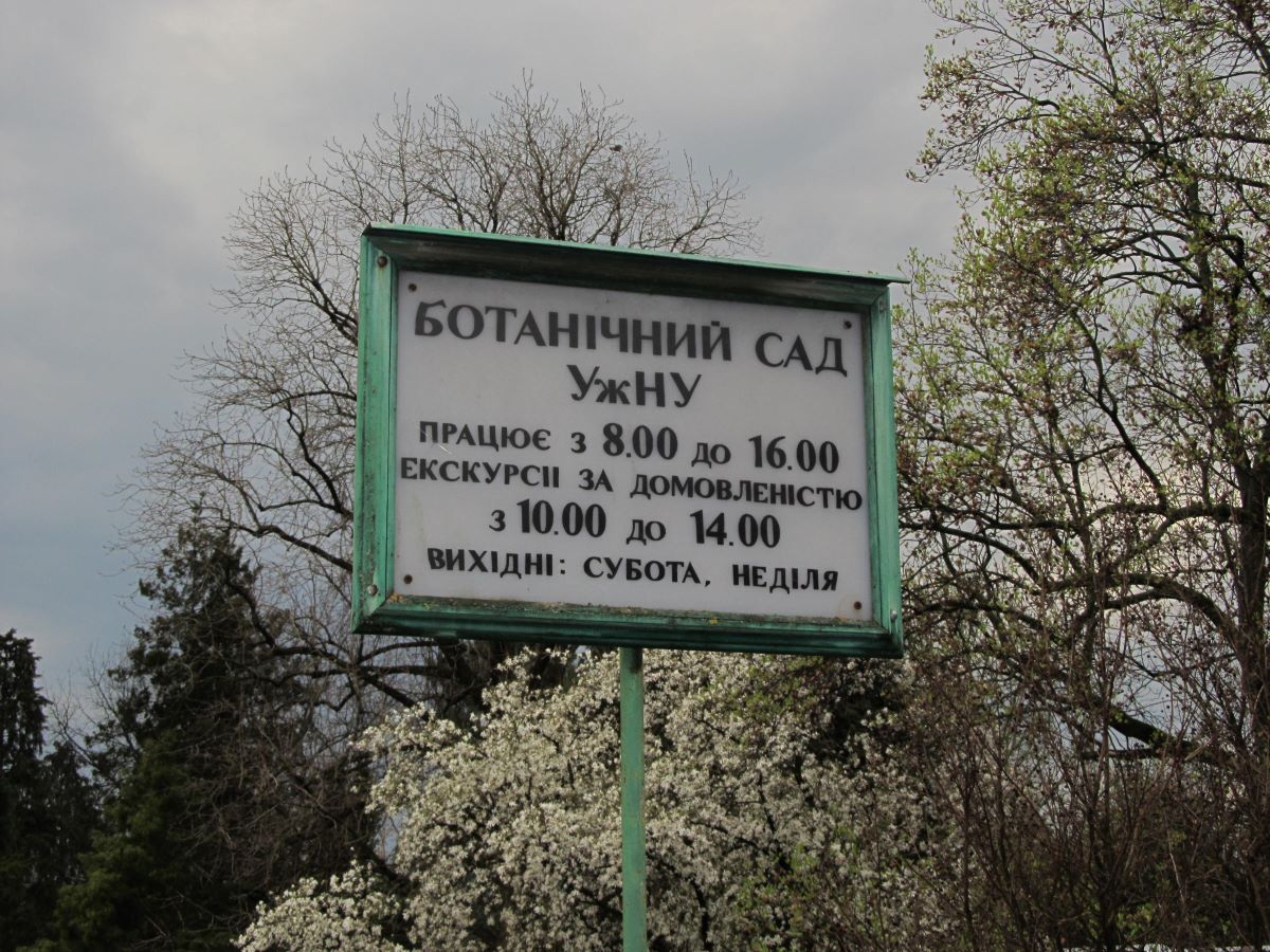 gal-285335