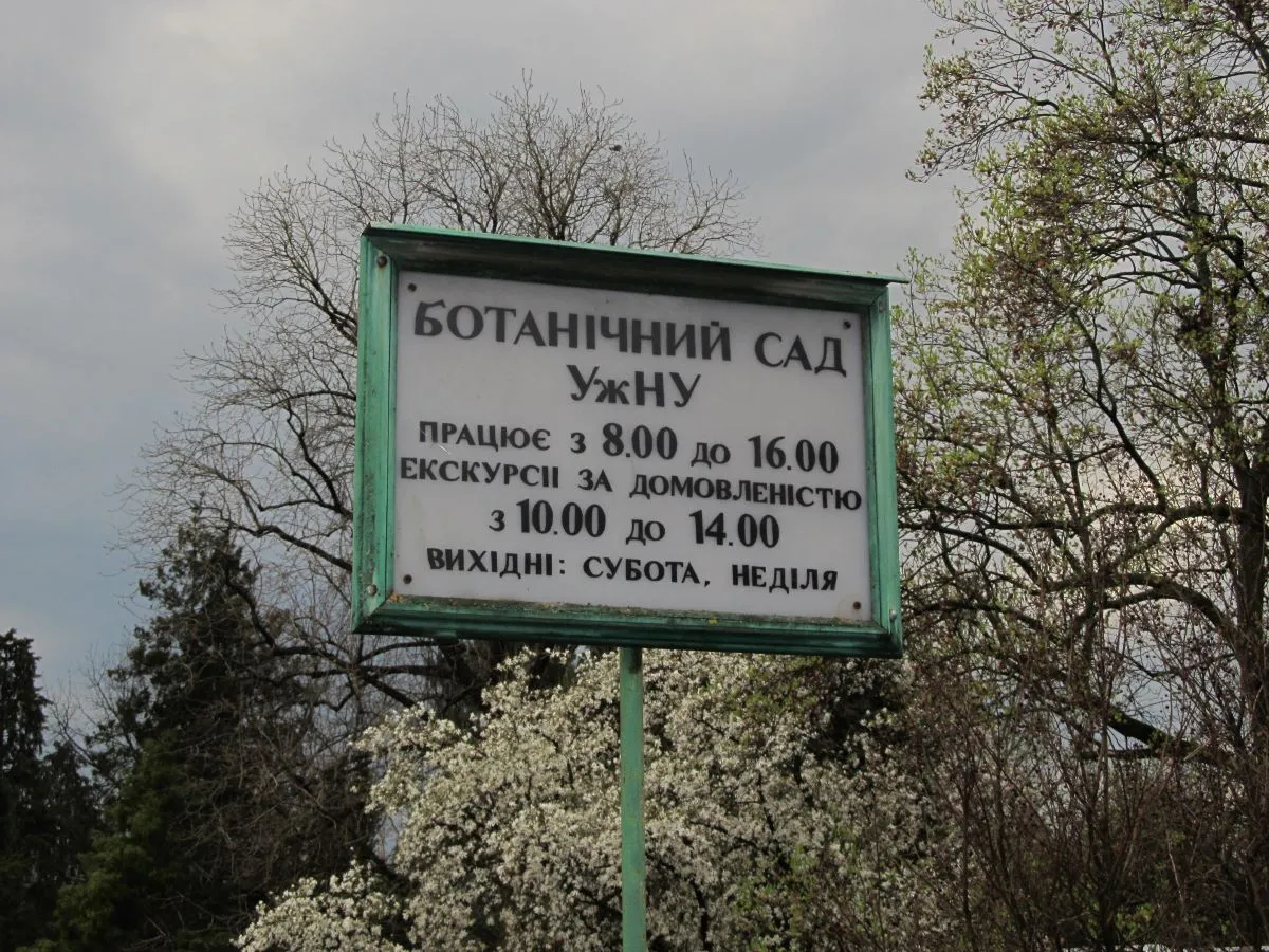 gal-285335