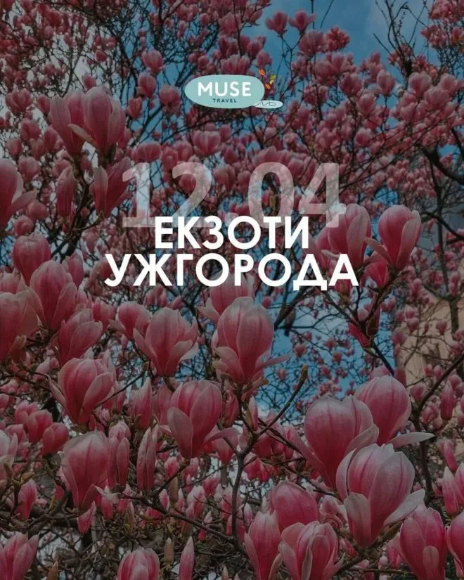 Afisa14