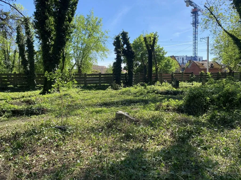 Прибирання цвинтаря в Ужгороді: боротьба за історію та екологію