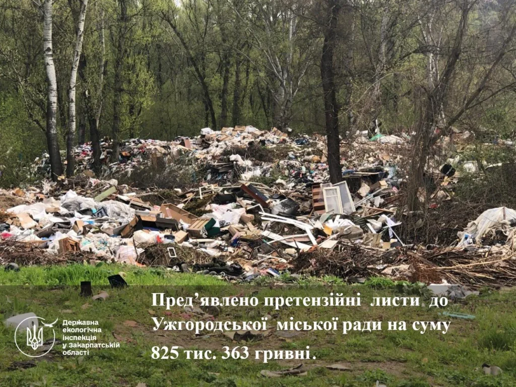 Екологічна тривога в Ужгороді: бездіяльність влади призвела до сотень тисяч гривень збитків через стихійні сміттєзвалища