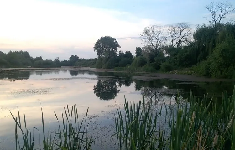 В мережі показали маловідоме Чорне озеро в Ужгороді / ВІДЕО ...