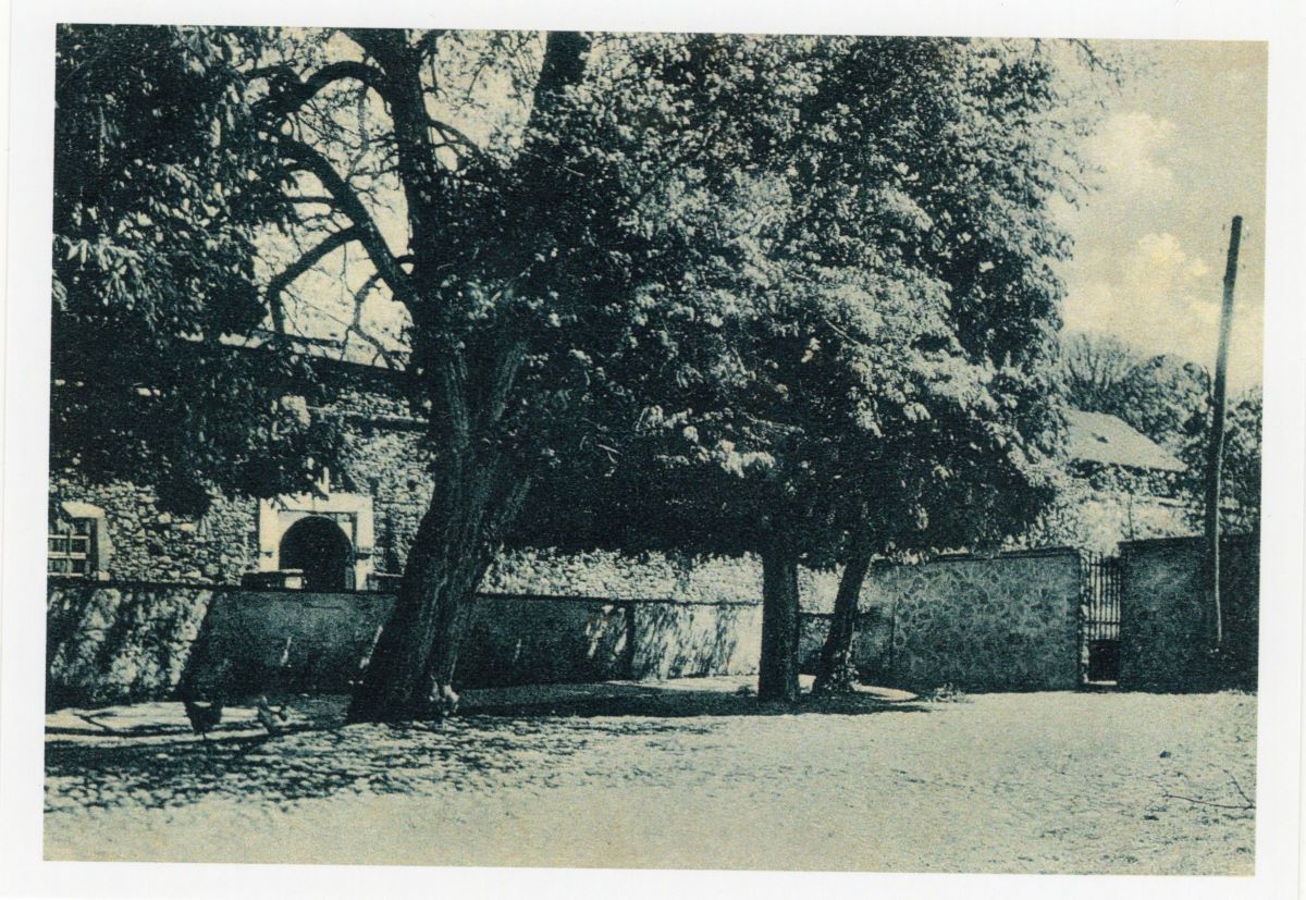 Ужгородський замок, поштівка, листівка