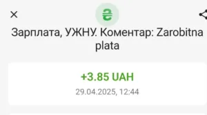 Професор УжНУ «похвалився» зарплатою у 3 гривні
