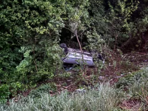 На околицях Ужгорода патрульні розшукали п’яного водія, який вчинив ДТП