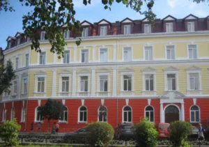 Батьки учнів Ужгородського ліцею №9 вимагають від МОН ремонту: будівля в критичному стані понад 5 років