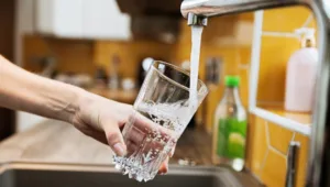 Невидимий ворог у воді: як хлор руйнує життя та екосистеми Ужгорода