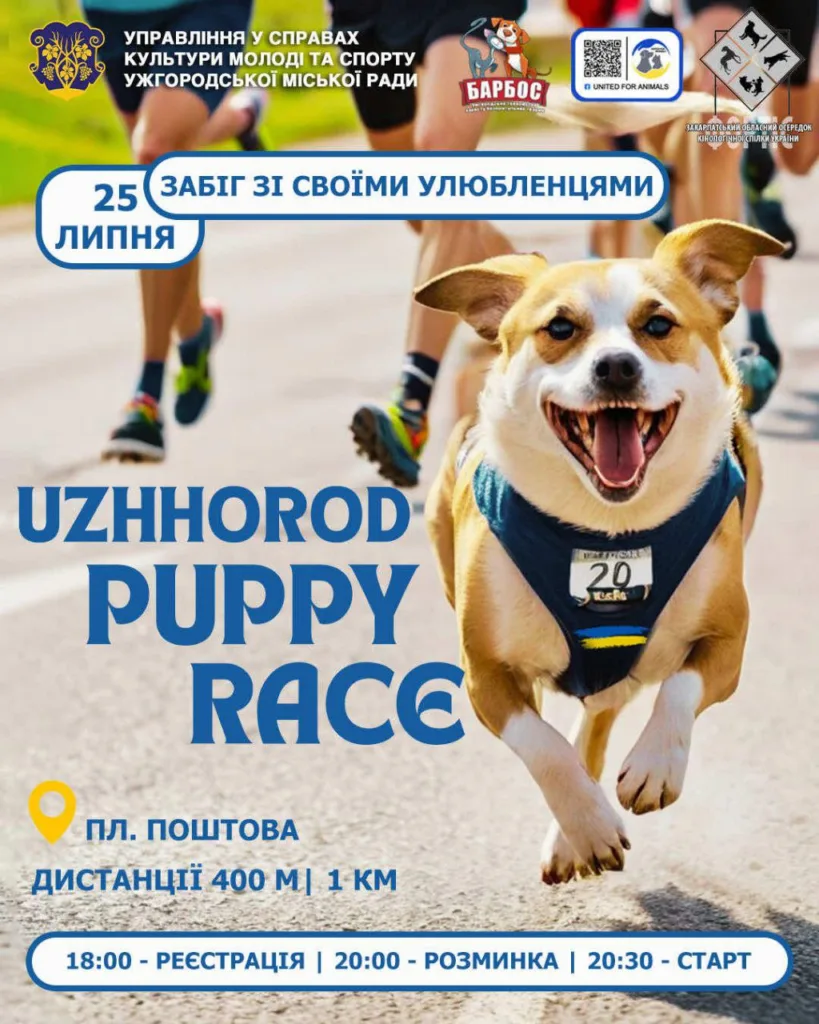 Унікальна спортивна подія в Ужгороді: Благодійний забіг із чотирилапими друзями «Uzhhorod Puppy Race» Унікальна спортивна подія в Ужгороді: Благодійний забіг із чотирилапими друзями «Uzhhorod Puppy Race»