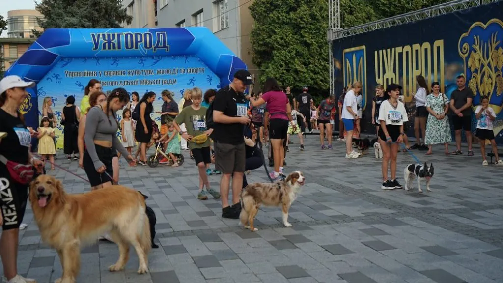 В Ужгороді відбувся перший благодійний забіг “Uzhhorod Puppy Race”: зібрано понад 6 тисяч гривень для притулку “Барбос”