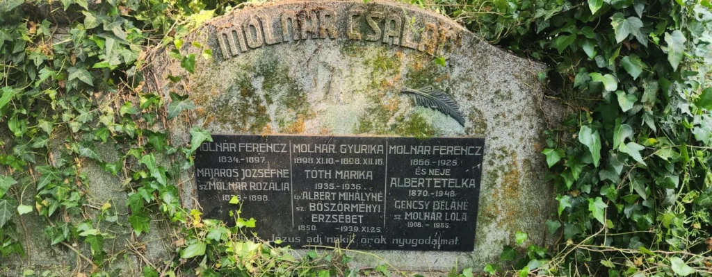 В Ужгороді відбудеться вистава про історичний цвинтар на вулиці Капушанській В Ужгороді відбудеться вистава про історичний цвинтар на вулиці Капушанській