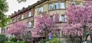 Франтішек Тіхий: маловідомий «будівничий Закарпаття» та архітектурне обличчя Ужгорода