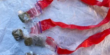 Поліція Ужгорода затримала мешканця Мелітополя за підозрою у збуті наркотиків