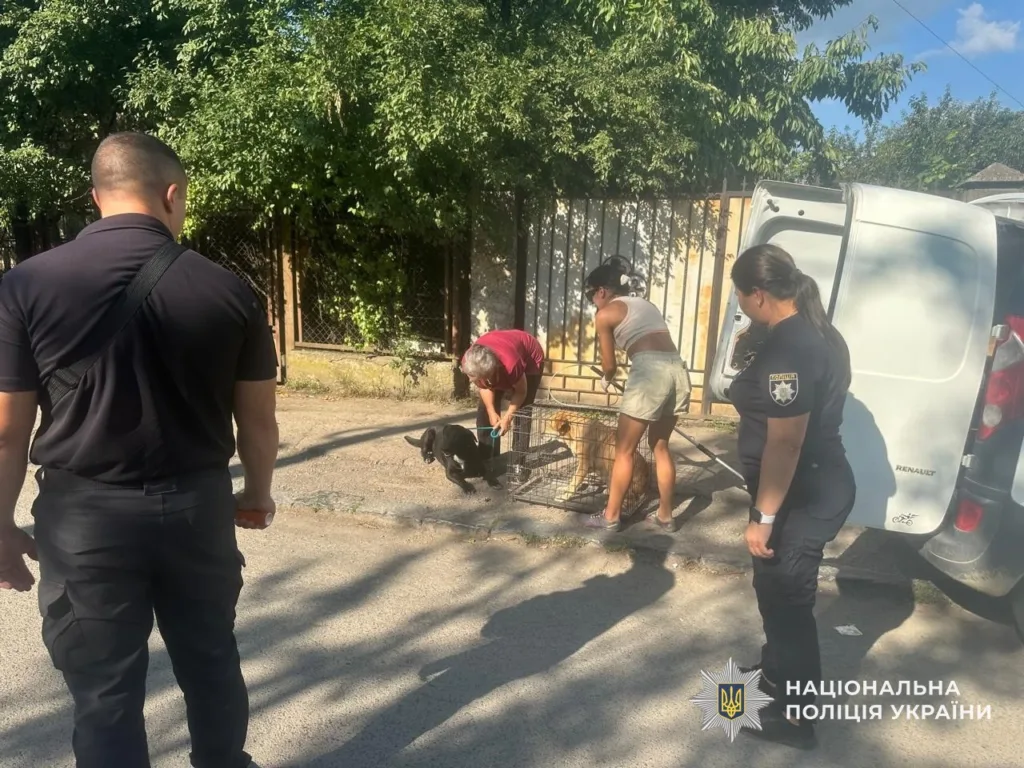Відповідальність за порушення правил утримання тварин Відповідальність за порушення правил утримання тварин