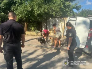 Відповідальність за порушення правил утримання тварин