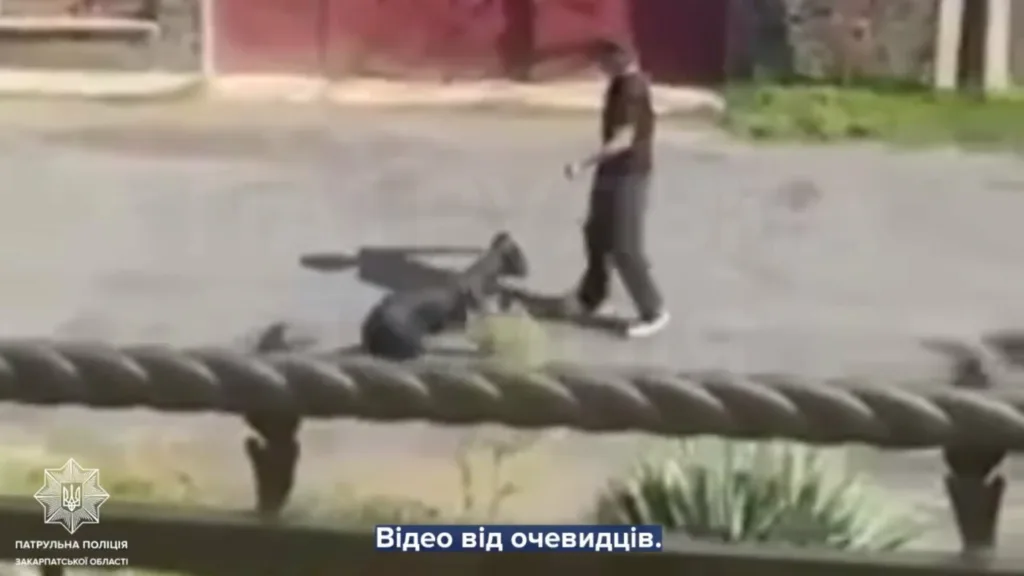 Поліція Ужгорода зафіксувала жорстоке поводження з твариною Поліція Ужгорода зафіксувала жорстоке поводження з твариною