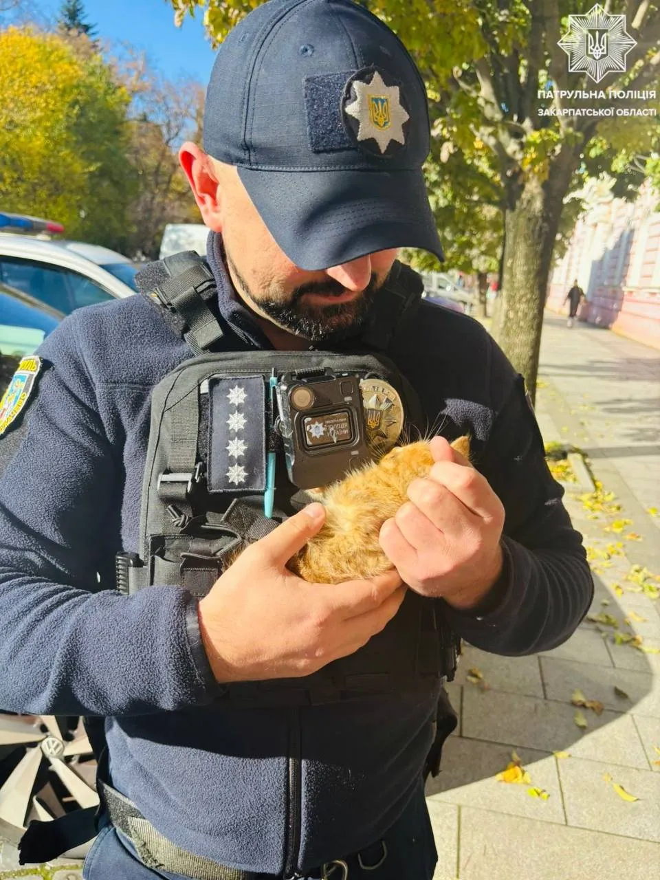 🐈 Врятований з-під капота: Героїчна місія патрульних на площі Петефі в Ужгороді