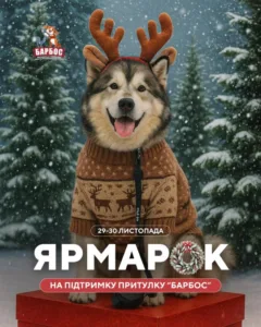Вихідні в Ужгороді: афіша заходів на 29-30 листопада