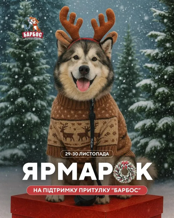 29 барбос