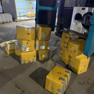 На кордоні зі Словаччиною та Угорщиною закарпатські митники запобігли незаконному переміщенню понад 700 кг наркотичного чаю