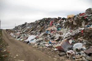 Стан ужгородського сміттєзвалища у Барвінку є критичним. “Можливі техногенні ризики” – відповідь на запит