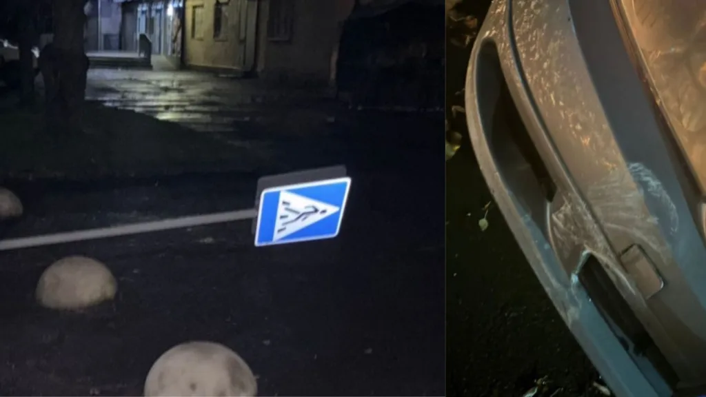 Ужгородка розтрощила дорожній знак та втекла Ужгородка розтрощила дорожній знак та втекла