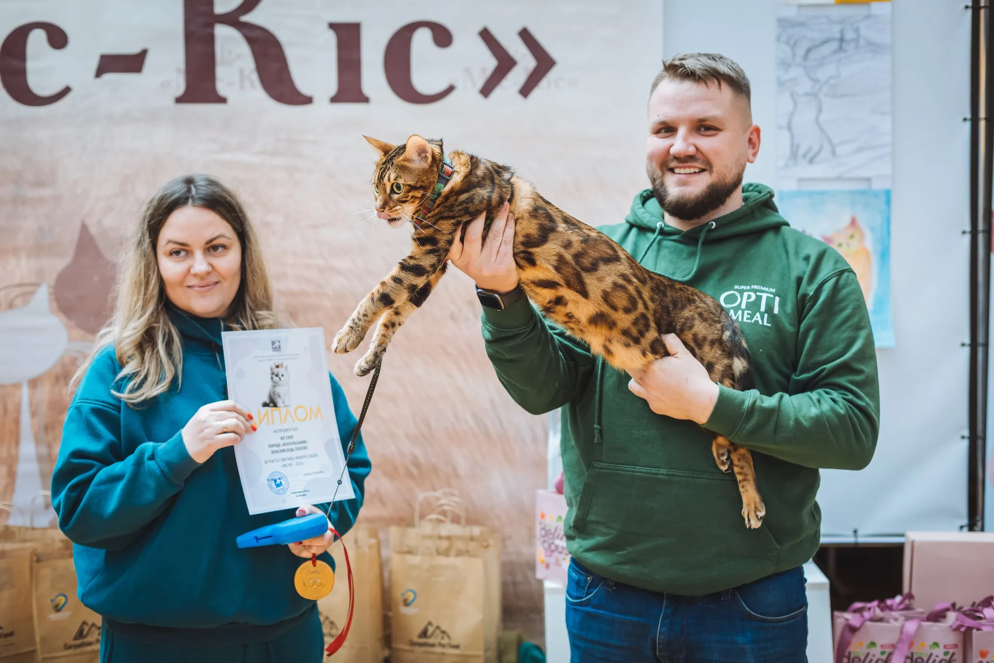 😺 Феєрія пухнастиків та творчості: в Ужгороді відбувся традиційний конкурс «Міс-Кіс»