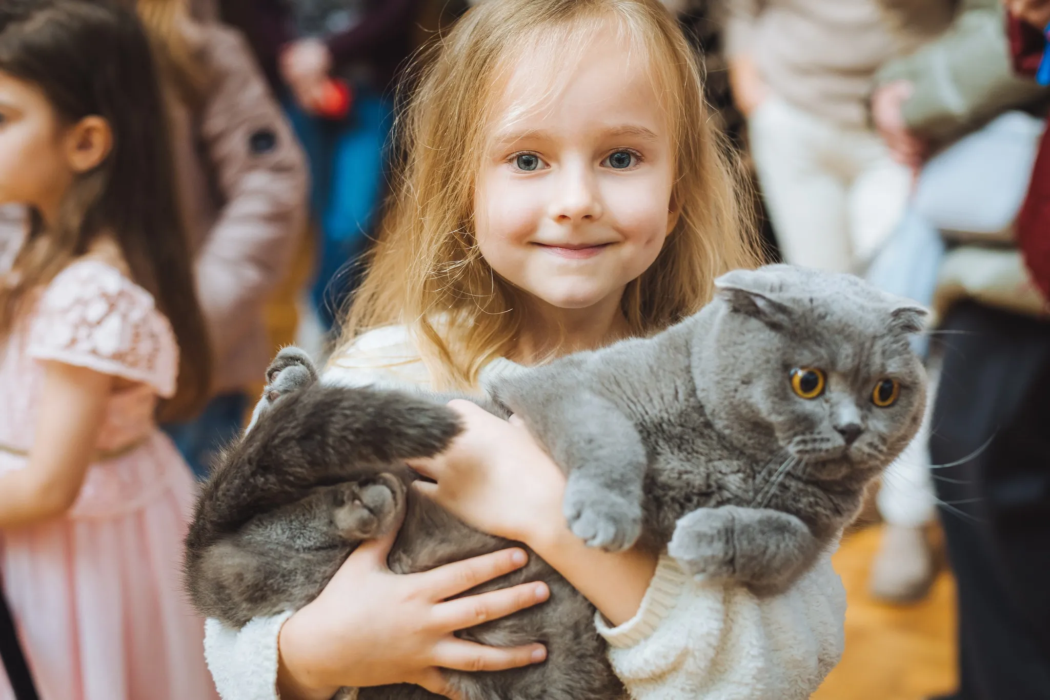 😺 Феєрія пухнастиків та творчості: в Ужгороді відбувся традиційний конкурс «Міс-Кіс»
