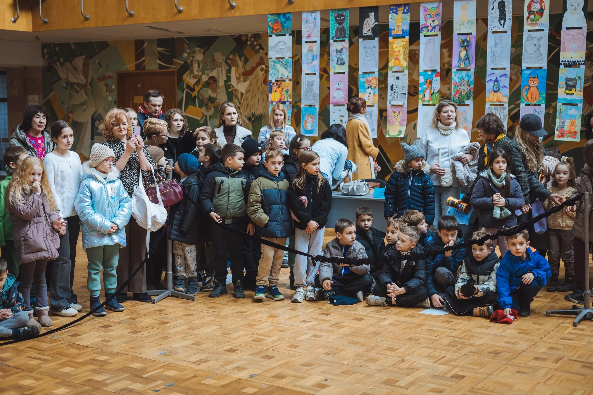 😺 Феєрія пухнастиків та творчості: в Ужгороді відбувся традиційний конкурс «Міс-Кіс»