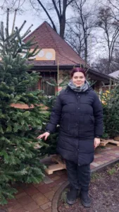 🌲 В Ужгороді стартував ялинковий сезон: Ціни, асортимент та офіційні точки продажу