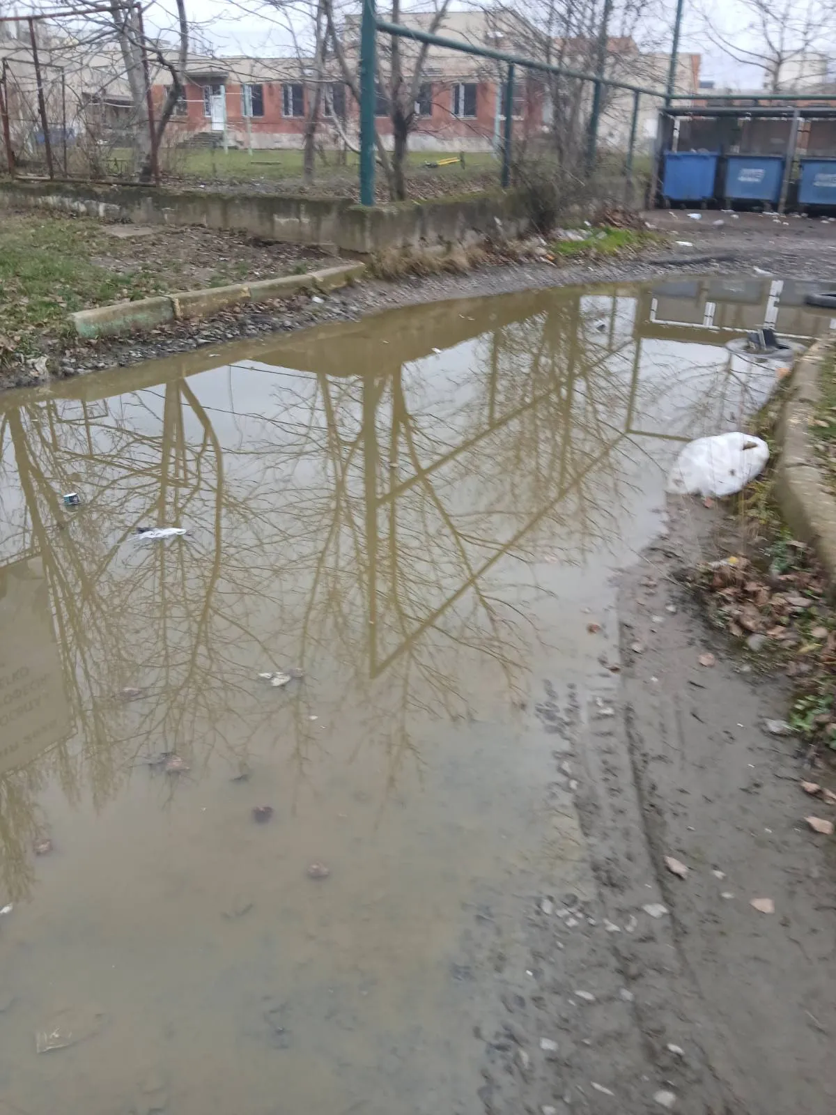 gal-342803