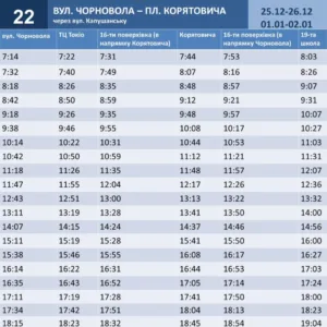 Оновлені графіки руху автобусів в Ужгороді на період зимових свят: що варто знати пасажирам