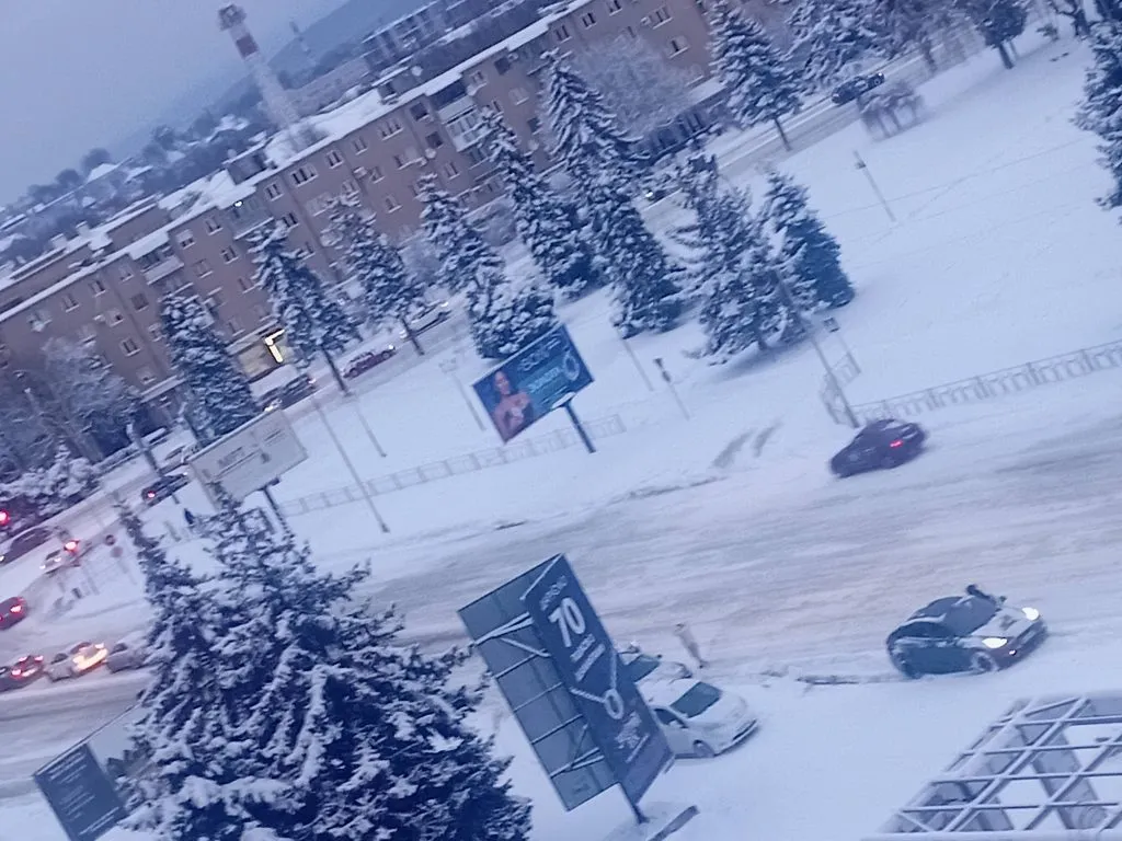 Сніговий колапс в Ужгороді: місто опинилося у полоні стихії, а комунальні служби ігнорують скарги мешканців