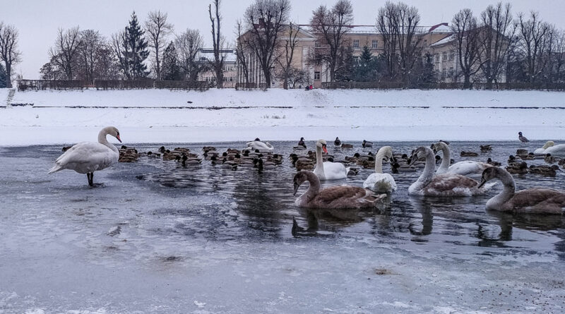 Ужгород очима митців: Відкриття фотовиставки «Мій Ужгород» 6 лютого