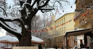 Афіша подій в Ужгороді 12-15 січня