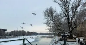 Ужгород на вихідних: Повна афіша подій 24-25 січня
