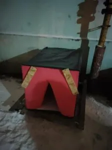 Ужгороське співтовариство долучається до допомоги безпритульним собакам: відкрито 15 утеплених притулків