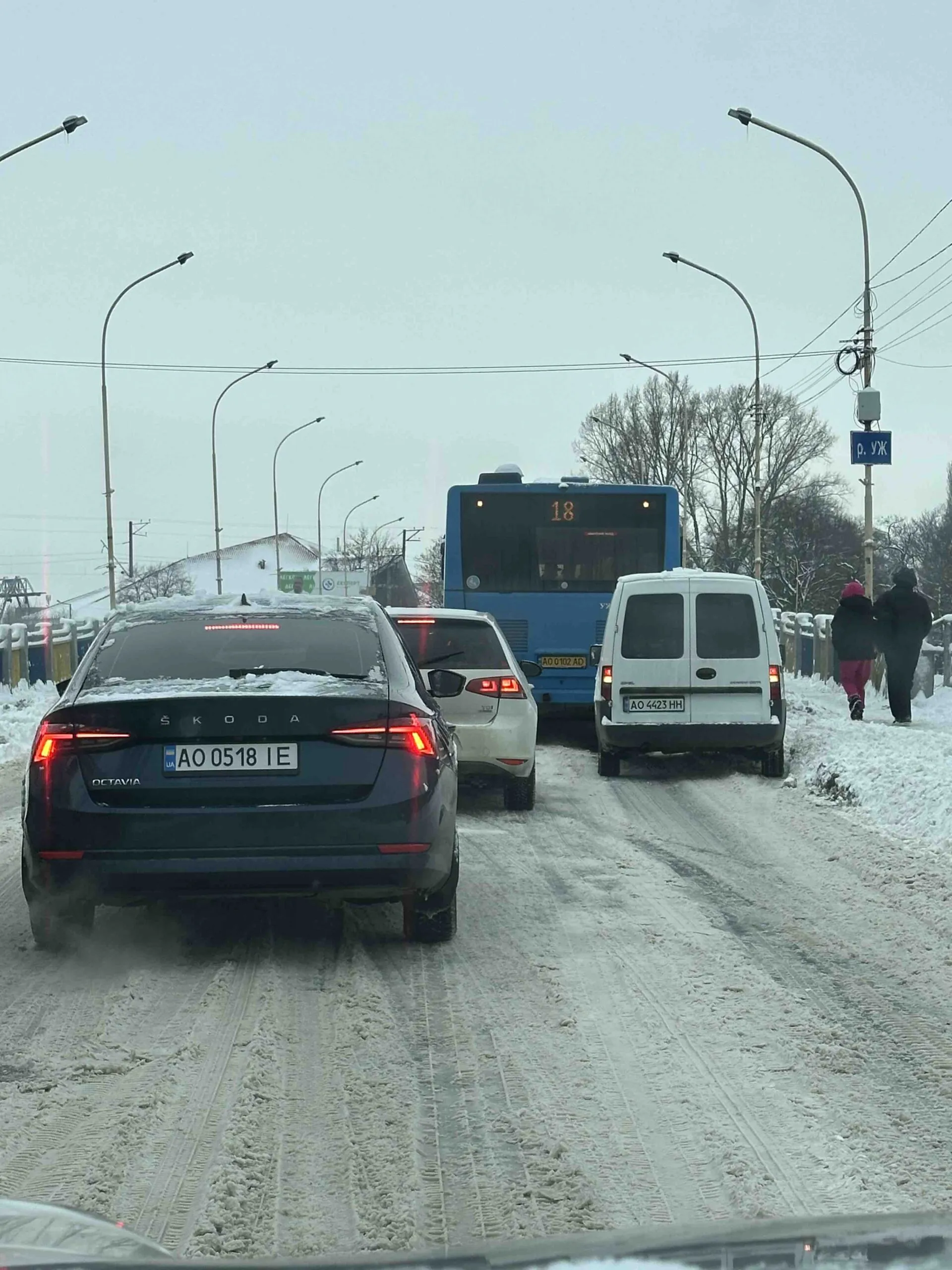 Сніговий колапс в Ужгороді: місто опинилося у полоні стихії, а комунальні служби ігнорують скарги мешканців
