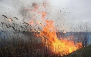 Масштабна пожежа на газопроводі під Ужгородом: у Тарнівцях ліквідували нічний вибух, постраждалих немає