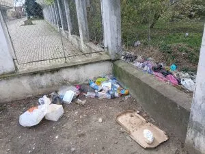 Жителька Ужгорода б’є на сполох через сміттєву катастрофу біля УжНУ