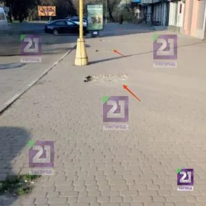 Ужгород: Таємничі вирізи на тротуарі вулиці Заньковецької викликають питання серед містян