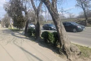 В Ужгороді на вулиці Академіка Шпеника тимчасово змінять схему руху через масштабні роботи з благоустрою
