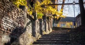 Ужгород запрошує: насичений тиждень подій з 9 по 13 березня