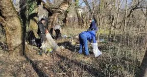 Ужгород прокидається: Весняні толоки охопили «Кірпічку», кладовище на Капушанській та Ботанічну набережну