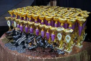 Ужгород став центром повітряної акробатики та пілонного спорту