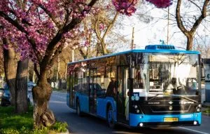 Розклад руху автобусів Ужгорода на Великодніх святах