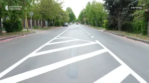 Ужгород вводить нову організацію руху громадського транспорту для підвищення ефективності