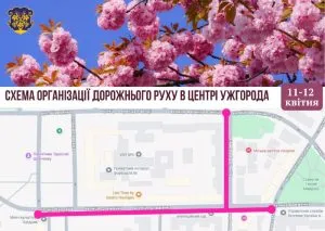 Ужгород готується до сезону сакури: тимчасові зміни в руху транспорту та благодійний ярмарок